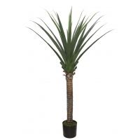 AGAVE TREE NP802_160 ΥΨΟΣ 160cm NewPlan AGAVE TREE NP802_160 ΥΨΟΣ 160cm NewPlan