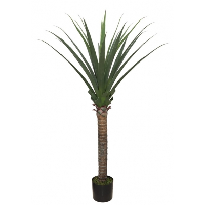 AGAVE TREE  NP802_160  ΥΨΟΣ 160cm NewPlan