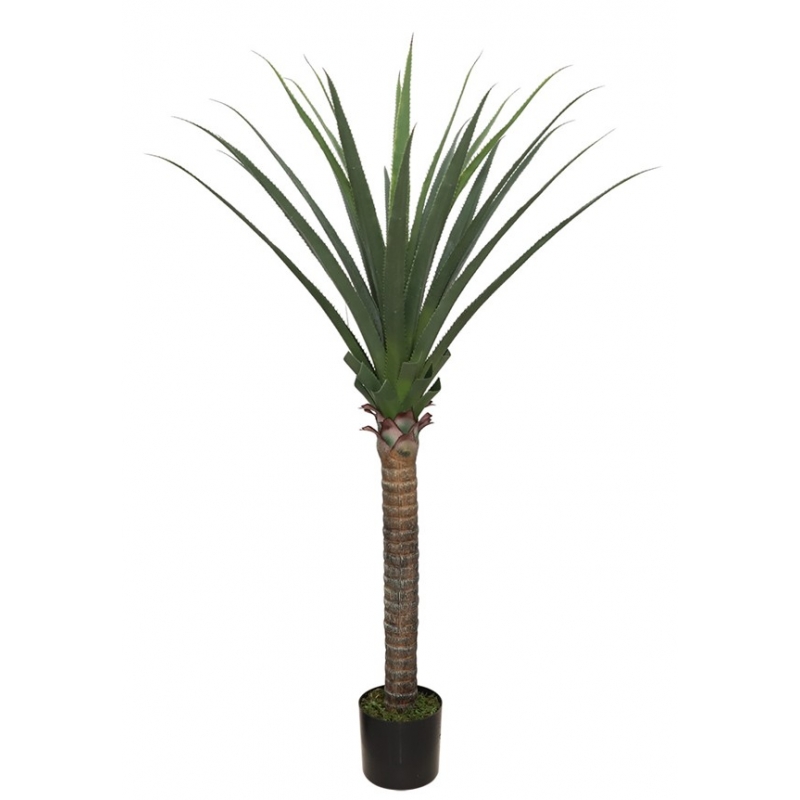 AGAVE TREE NP802_160 ΥΨΟΣ 160cm NewPlan AGAVE TREE NP802_160 ΥΨΟΣ 160cm NewPlan