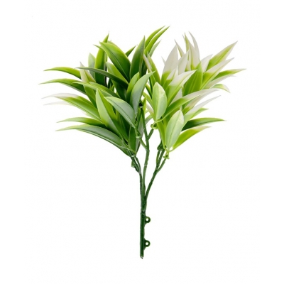 ΔΙΑΚΟΣΜΗΤΙΚΟ ΜΠΟΥΚΕΤΟ (SET 10ΤΜΧ) AMALFI W007 PODOCARPUS NAGI NewPlan ΔΙΑΚΟΣΜΗΤΙΚΟ ΜΠΟΥΚΕΤΟ (SET 10ΤΜΧ) AMALFI W007 PODOCARPUS NAGI NewPlan
