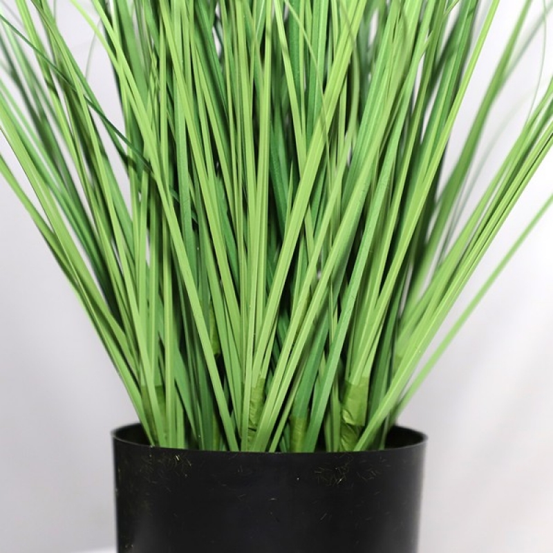 ONION GRASS TREE NP1011_120 ΥΨΟΣ 120cm NewPlan ONION GRASS TREE NP1011_120 ΥΨΟΣ 120cm NewPlan