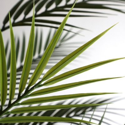 PALM TREE  NP160_210_UV  ΥΨΟΣ 210cm NewPlan