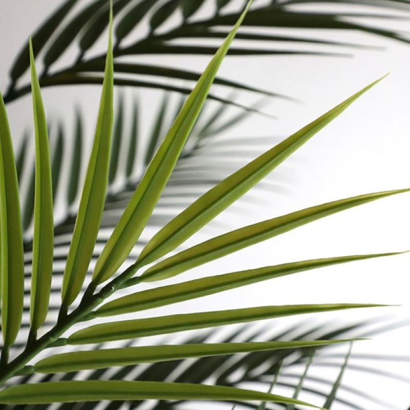 PALM TREE NP160_210_UV ΥΨΟΣ 210cm NewPlan PALM TREE NP160_210_UV ΥΨΟΣ 210cm NewPlan