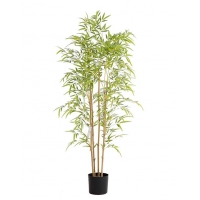 BAMBOO  NP6320_150_22 ΥΨΟΣ 150cm NewPlan