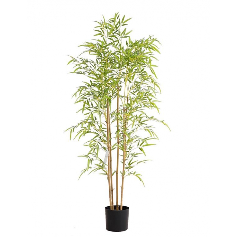BAMBOO  NP6320_150_22 ΥΨΟΣ 150cm NewPlan