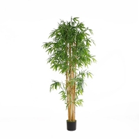 BAMBOO NP0076_210 ΥΨΟΣ 210cm NewPlan BAMBOO NP0076_210 ΥΨΟΣ 210cm NewPlan