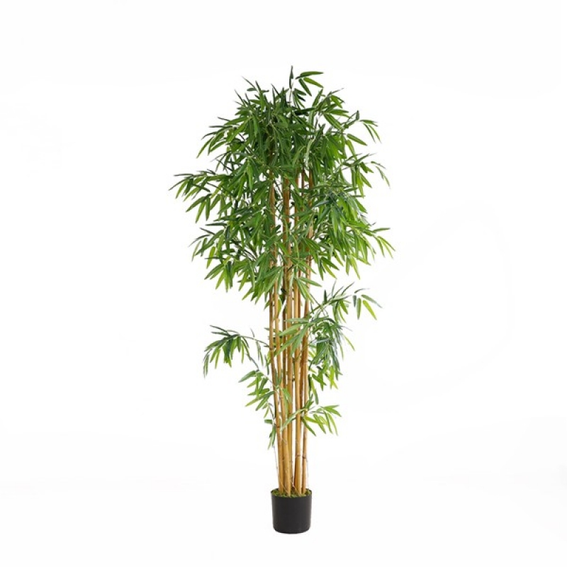 BAMBOO NP0076_210 ΥΨΟΣ 210cm NewPlan BAMBOO NP0076_210 ΥΨΟΣ 210cm NewPlan