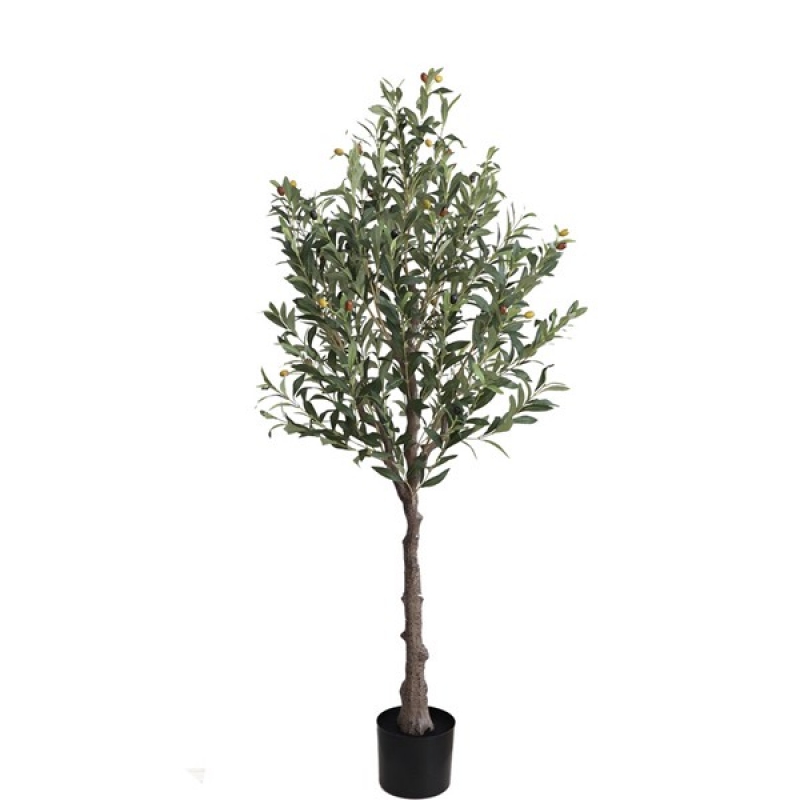 OLIVE TREE NP439_150 ΥΨΟΣ 150cm NewPlan OLIVE TREE NP439_150 ΥΨΟΣ 150cm NewPlan