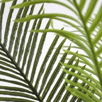 PALM TREE NP0266_140 ΥΨΟΣ 140cm NewPlan PALM TREE NP0266_140 ΥΨΟΣ 140cm NewPlan