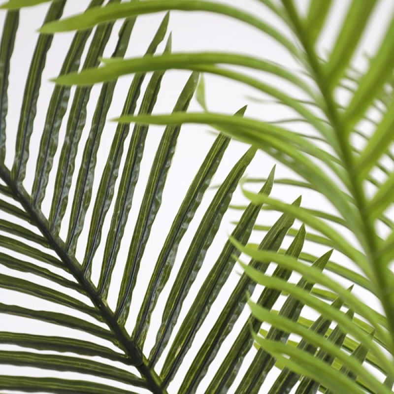PALM TREE NP0266_140 ΥΨΟΣ 140cm NewPlan PALM TREE NP0266_140 ΥΨΟΣ 140cm NewPlan