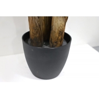 BANANA TREE NP6327_180_22 ΥΨΟΣ 180cm NewPlan BANANA TREE NP6327_180_22 ΥΨΟΣ 180cm NewPlan