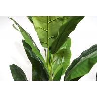 BANANA TREE NP6327_180_22 ΥΨΟΣ 180cm NewPlan BANANA TREE NP6327_180_22 ΥΨΟΣ 180cm NewPlan