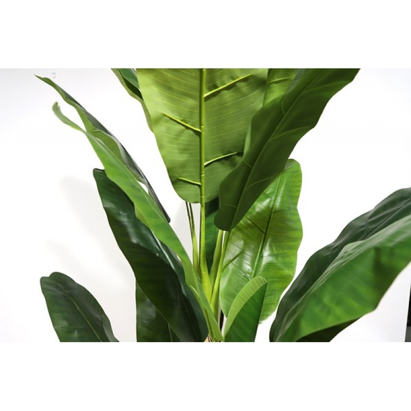 BANANA TREE NP6327_180_22 ΥΨΟΣ 180cm NewPlan BANANA TREE NP6327_180_22 ΥΨΟΣ 180cm NewPlan