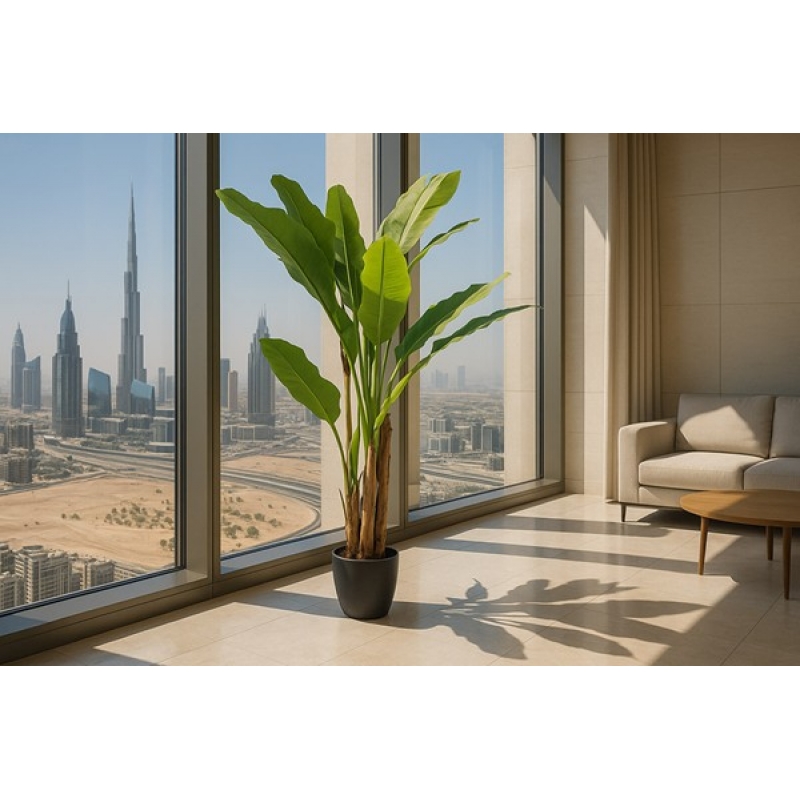 BANANA TREE NP6327_180_22 ΥΨΟΣ 180cm NewPlan BANANA TREE NP6327_180_22 ΥΨΟΣ 180cm NewPlan