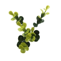 ΠΑΝΕΛ ΦΥΛΛΩΣΙΑΣ BERLIN 50 Χ 50 A003 BUXUS NewPlan ΠΑΝΕΛ ΦΥΛΛΩΣΙΑΣ BERLIN 50 Χ 50 A003 BUXUS NewPlan