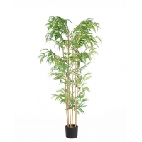 BAMBOO NP5801_150_22_UV ΥΨΟΣ 150cm NewPlan BAMBOO NP5801_150_22_UV ΥΨΟΣ 150cm NewPlan