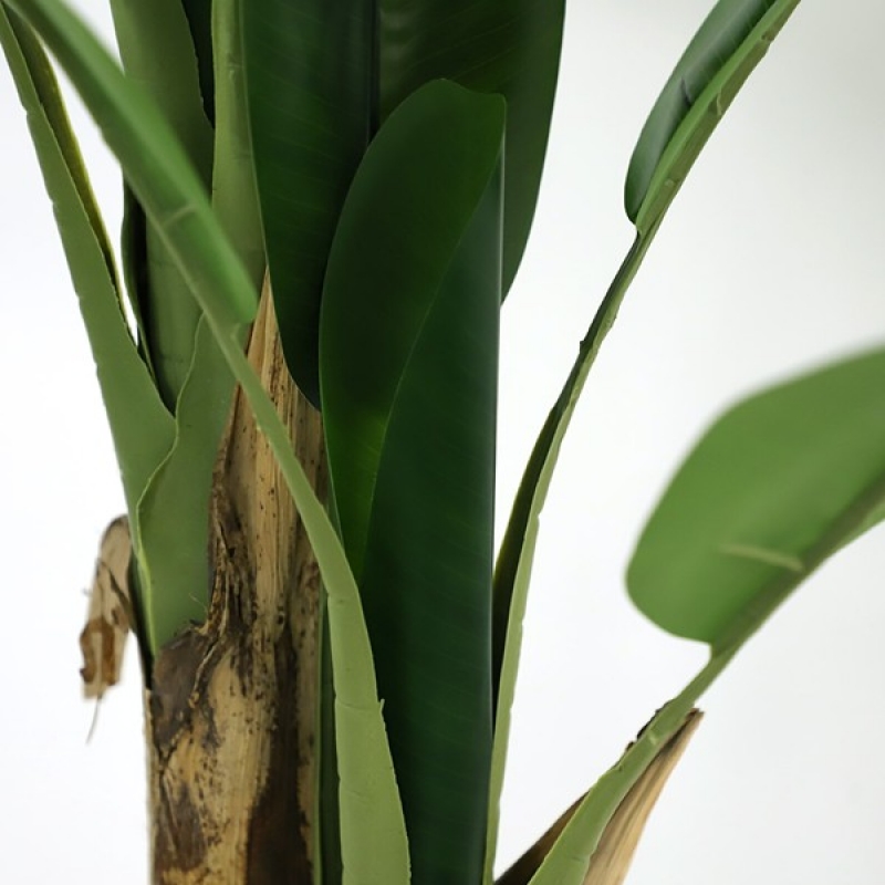 BANANA TREE NP702_145 ΥΨΟΣ 145cm NewPlan BANANA TREE NP702_145 ΥΨΟΣ 145cm NewPlan