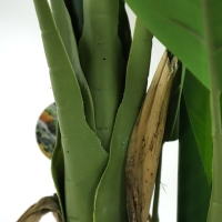 BANANA TREE NP702_145 ΥΨΟΣ 145cm NewPlan BANANA TREE NP702_145 ΥΨΟΣ 145cm NewPlan