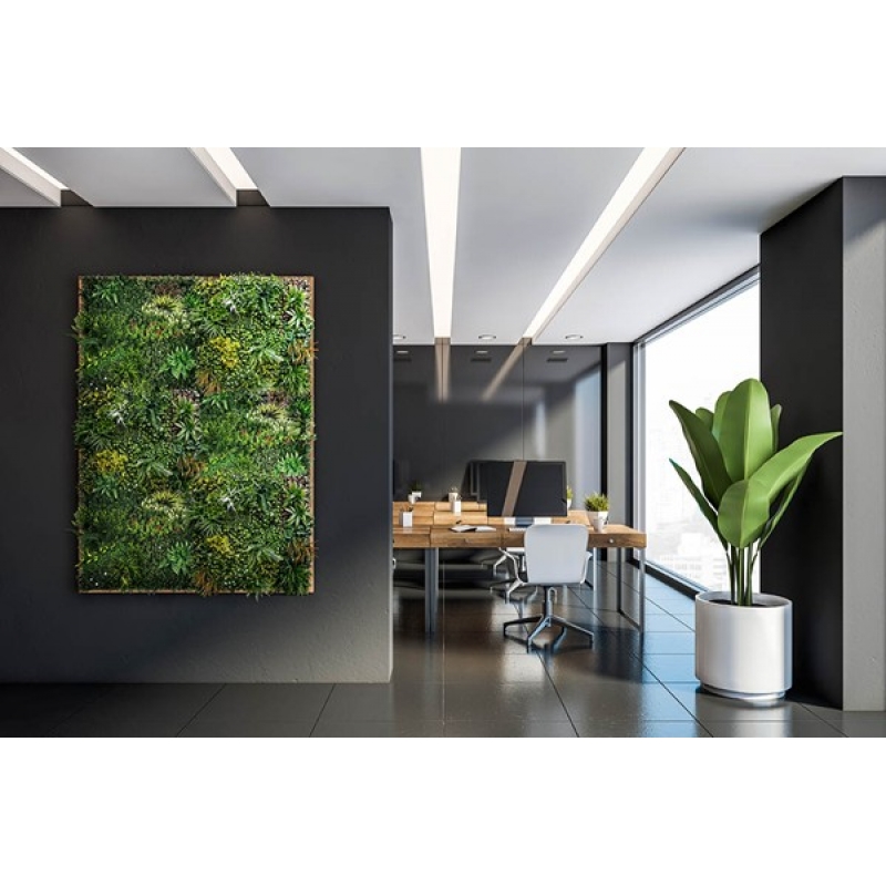 ΚΑΘΕΤΟΣ ΚΗΠΟΣ PARIS 100 Χ 100 A074 MEADOW NewPlan ΚΑΘΕΤΟΣ ΚΗΠΟΣ PARIS 100 Χ 100 A074 MEADOW NewPlan