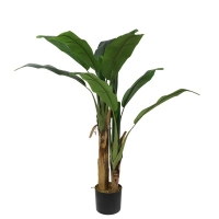 BANANA TREE NP702_145 ΥΨΟΣ 145cm NewPlan BANANA TREE NP702_145 ΥΨΟΣ 145cm NewPlan