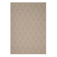 ΧΑΛΙ  CANVAS  1070A - 080X150  NewPlan