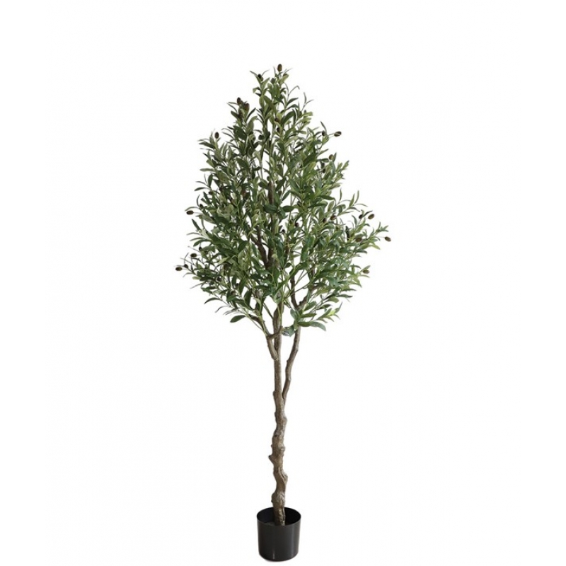 OLIVE TREE NP410_180 ΥΨΟΣ 180cm NewPlan OLIVE TREE NP410_180 ΥΨΟΣ 180cm NewPlan