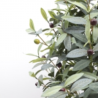 OLIVE TREE NP459_120 ΥΨΟΣ 120cm NewPlan OLIVE TREE NP459_120 ΥΨΟΣ 120cm NewPlan