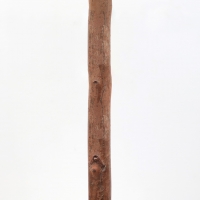 OLIVE TREE NP459_120 ΥΨΟΣ 120cm NewPlan OLIVE TREE NP459_120 ΥΨΟΣ 120cm NewPlan