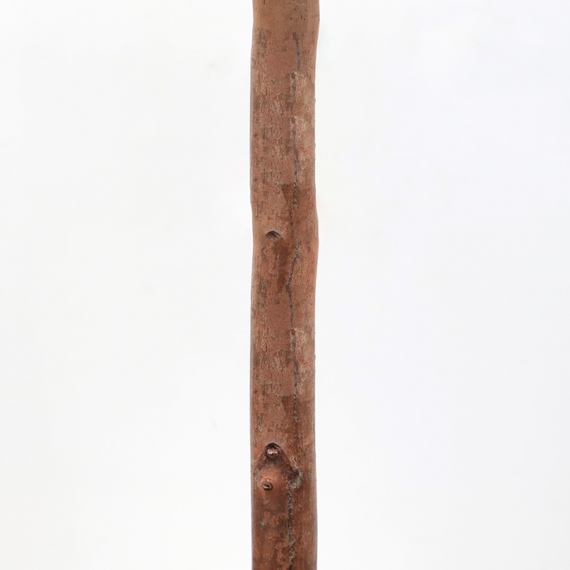 OLIVE TREE NP459_120 ΥΨΟΣ 120cm NewPlan OLIVE TREE NP459_120 ΥΨΟΣ 120cm NewPlan