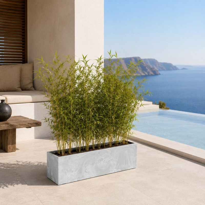 Ζαρντινιέρα ανοιχτό γκρι beton effect Y19,5x58x18εκ.