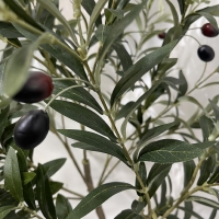 Ελιά τεχνητή Nextdeco Υ0,95μ. με καρπούς σε μαύρη γλάστρα Ø15εκ. Ελιά τεχνητή Nextdeco Υ0,95μ. με καρπούς σε μαύρη γλάστρα Ø15εκ.