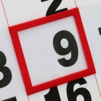 Σετ ημεροδείκτης πλαστικός 30εκ. για ημερολόγια τοίχου (50τεμ) Σετ ημεροδείκτης πλαστικός 30εκ. για ημερολόγια τοίχου (50τεμ)