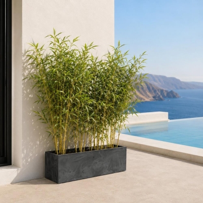 Ζαρντινιέρα ανθρακί beton effect Y19,5x58x18εκ.