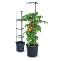 Γλαστράκι Tomato Grower, Y31,5x∅39,2εκ Γλαστράκι Tomato Grower, Y31,5x∅39,2εκ