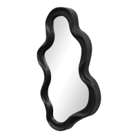 Καθρέπτης Liquid pakoworld pp σε μαύρη απόχρωση 26x2.7x39εκ
