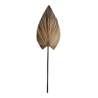 Διακοσμητικό φύλλο Leafen pakoworld φυσικό palm leaf 134εκ Διακοσμητικό φύλλο Leafen pakoworld φυσικό palm leaf 134εκ