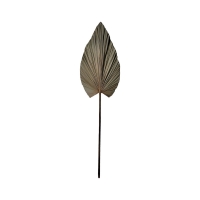 Διακοσμητικό φύλλο Leafen I Inart φυσικό palm leaf 121εκ Διακοσμητικό φύλλο Leafen I Inart φυσικό palm leaf 121εκ