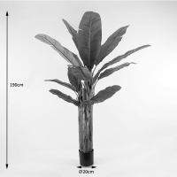 Διακοσμητικό φυτό σε γλάστρα Banana Tree Inart πράσινο Φ53x190εκ Διακοσμητικό φυτό σε γλάστρα Banana Tree Inart πράσινο Φ53x190εκ
