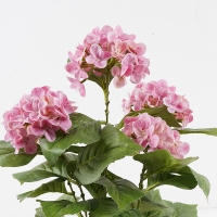 Διακοσμητικό φυτό σε γλάστρα Hydrangea Inart ροζ Φ35x50εκ
