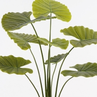 Διακοσμητικό φυτό σε γλάστρα Alocasia Inart πράσινο Φ90x120εκ Διακοσμητικό φυτό σε γλάστρα Alocasia Inart πράσινο Φ90x120εκ