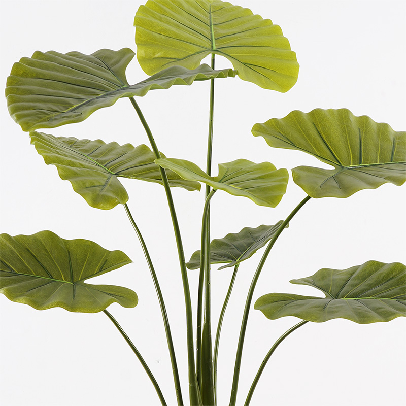 Διακοσμητικό φυτό σε γλάστρα Alocasia Inart πράσινο Φ90x120εκ Διακοσμητικό φυτό σε γλάστρα Alocasia Inart πράσινο Φ90x120εκ