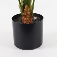 Διακοσμητικό φυτό σε γλάστρα Alocasia Inart πράσινο Φ90x120εκ Διακοσμητικό φυτό σε γλάστρα Alocasia Inart πράσινο Φ90x120εκ