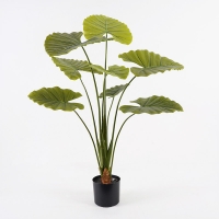 Διακοσμητικό φυτό σε γλάστρα Alocasia Inart πράσινο Φ90x120εκ Διακοσμητικό φυτό σε γλάστρα Alocasia Inart πράσινο Φ90x120εκ