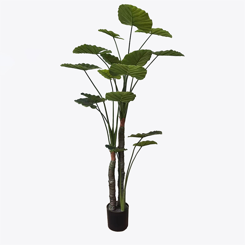 Διακοσμητικό φυτό σε γλάστρα Taro Plant Inart πράσινο Φ90x180εκ Διακοσμητικό φυτό σε γλάστρα Taro Plant Inart πράσινο Φ90x180εκ