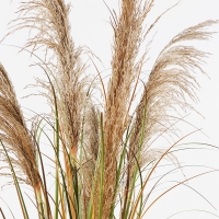 Διακοσμητικό φυτό σε γλάστρα Bulrush Inart Φ65x120εκ Διακοσμητικό φυτό σε γλάστρα Bulrush Inart Φ65x120εκ