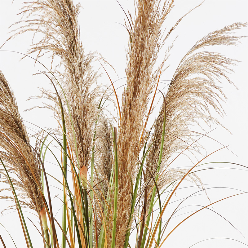 Διακοσμητικό φυτό σε γλάστρα Bulrush Inart Φ65x120εκ Διακοσμητικό φυτό σε γλάστρα Bulrush Inart Φ65x120εκ