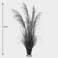 Διακοσμητικό φυτό σε γλάστρα Bulrush Inart Φ65x120εκ Διακοσμητικό φυτό σε γλάστρα Bulrush Inart Φ65x120εκ