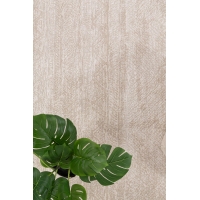 Μοντέρνο Χαλί Solid 1391 CREAM Royal Carpet - 200 x 300 cm Μοντέρνο Χαλί Solid 1391 CREAM Royal Carpet - 200 x 300 cm